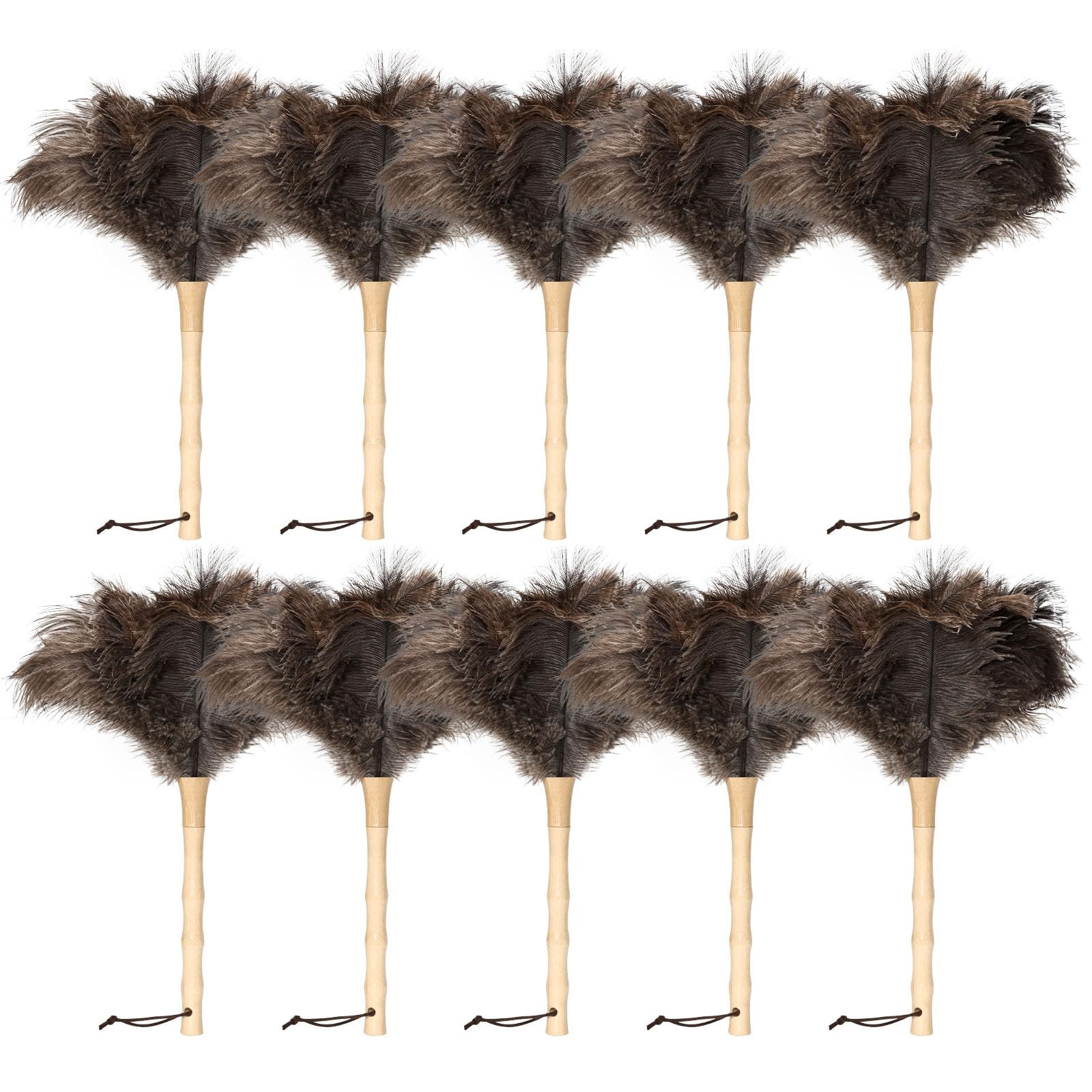 Greenfeather Small Ostrich Feather Duster 16in Wooden Handle 2 Pack