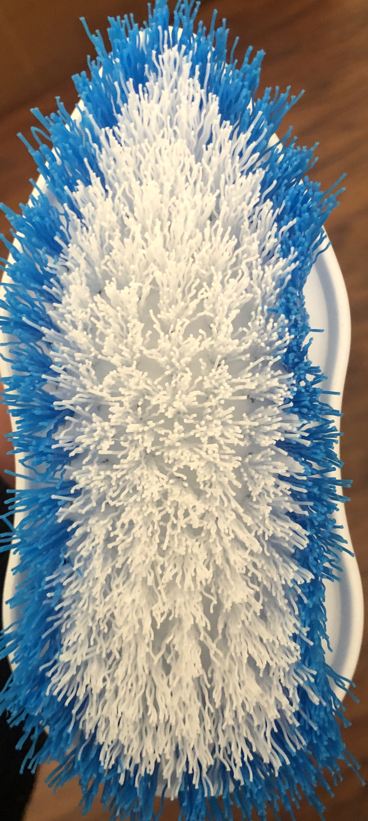 Scrub Buddies Scrub Brush 5 Inch Handle , One Inch Wide Handle. Brush 6 Inches