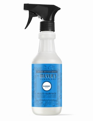 Multi-Surface Everyday Cleaner, Blueberry Scent, 16 oz. – 12123