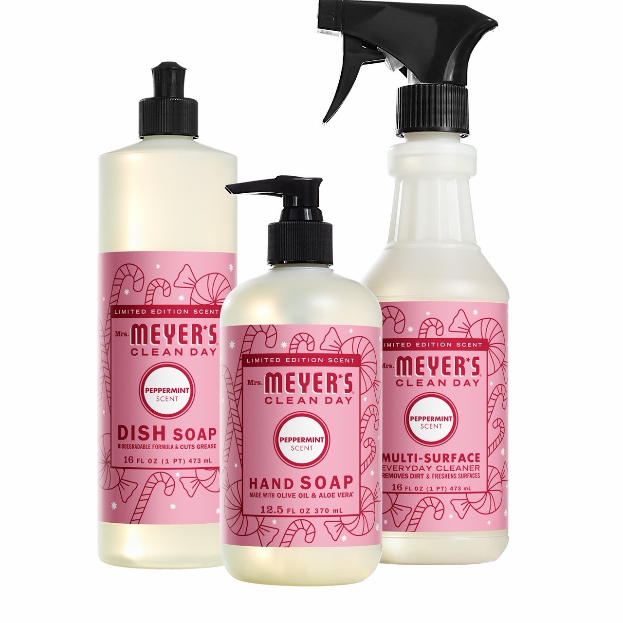 CLEAN DAY Kitchen Basics Gift Set, Acorn Spice Scent Cleaning Supplies, Includes