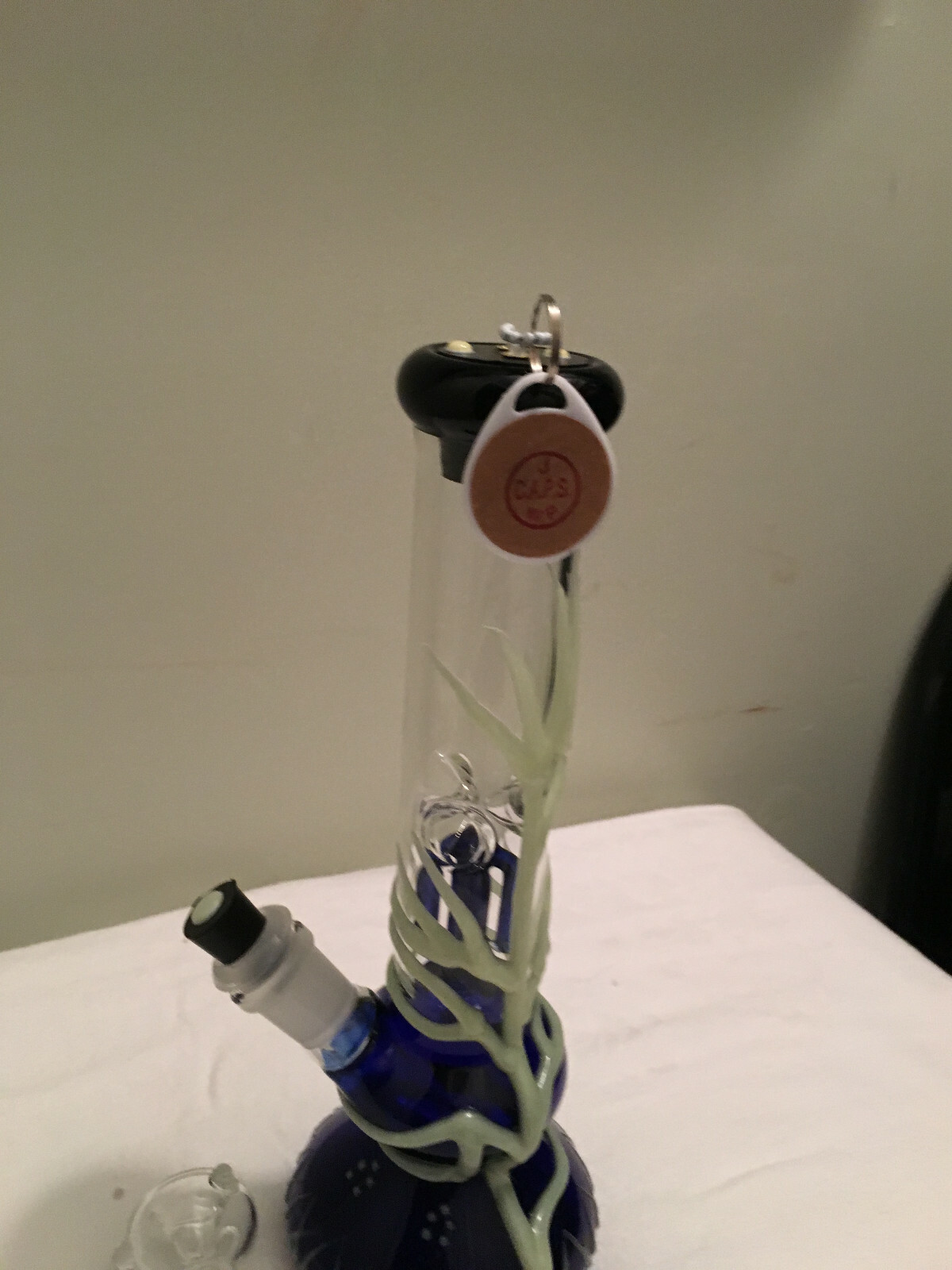 Glass / plastic Rig cleaning and storage caps
