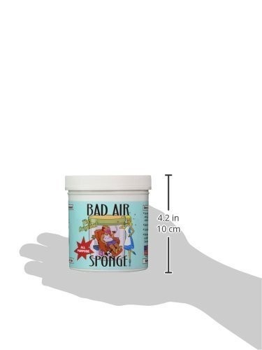 Odor Neutralizer Sponge – Absorbs & Eliminates Bad Smells – 14oz (Pack of 3)