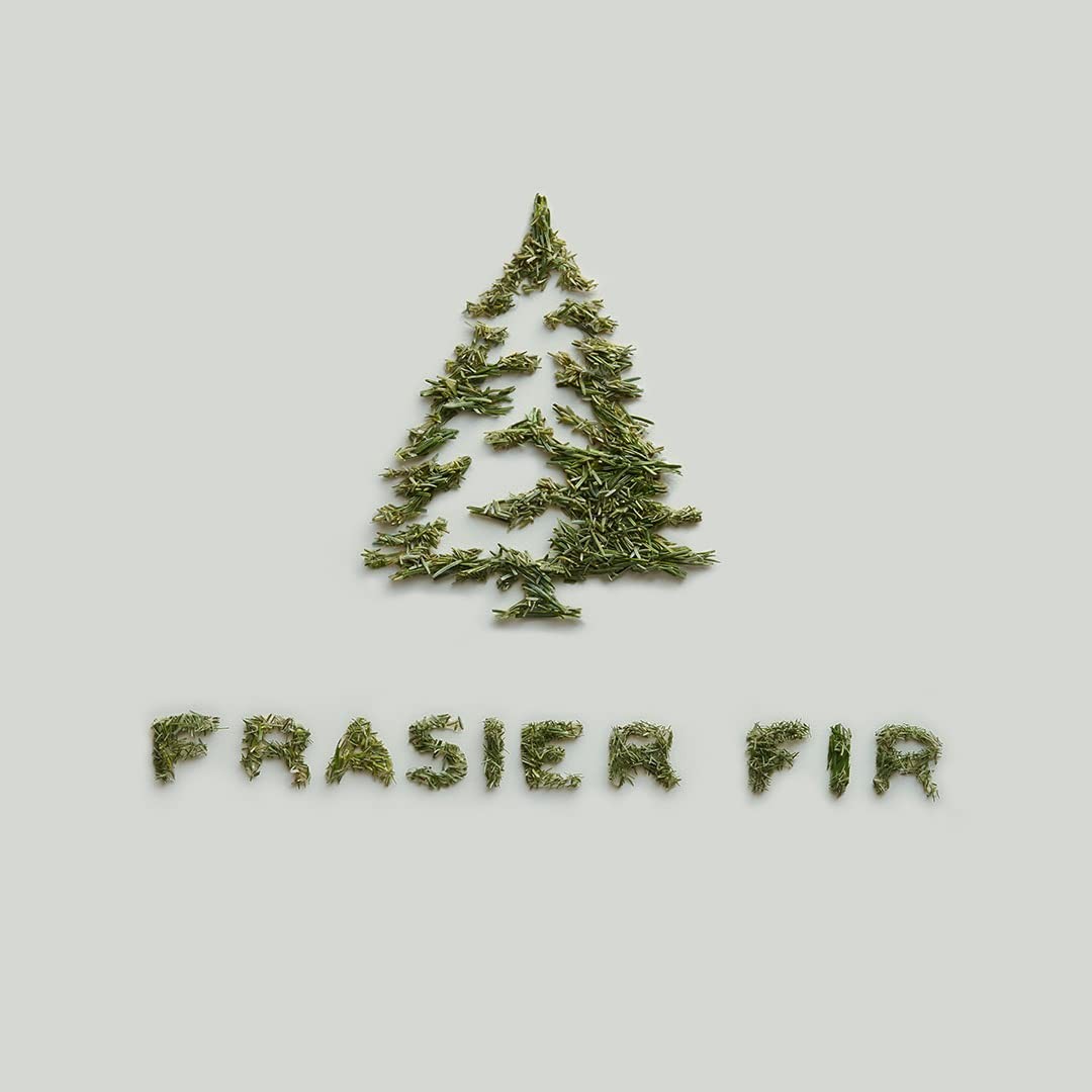 Soft Surface Scrub Frasier Fir Multipurpose Cleaner Pine Scented 11.5 Fl Oz