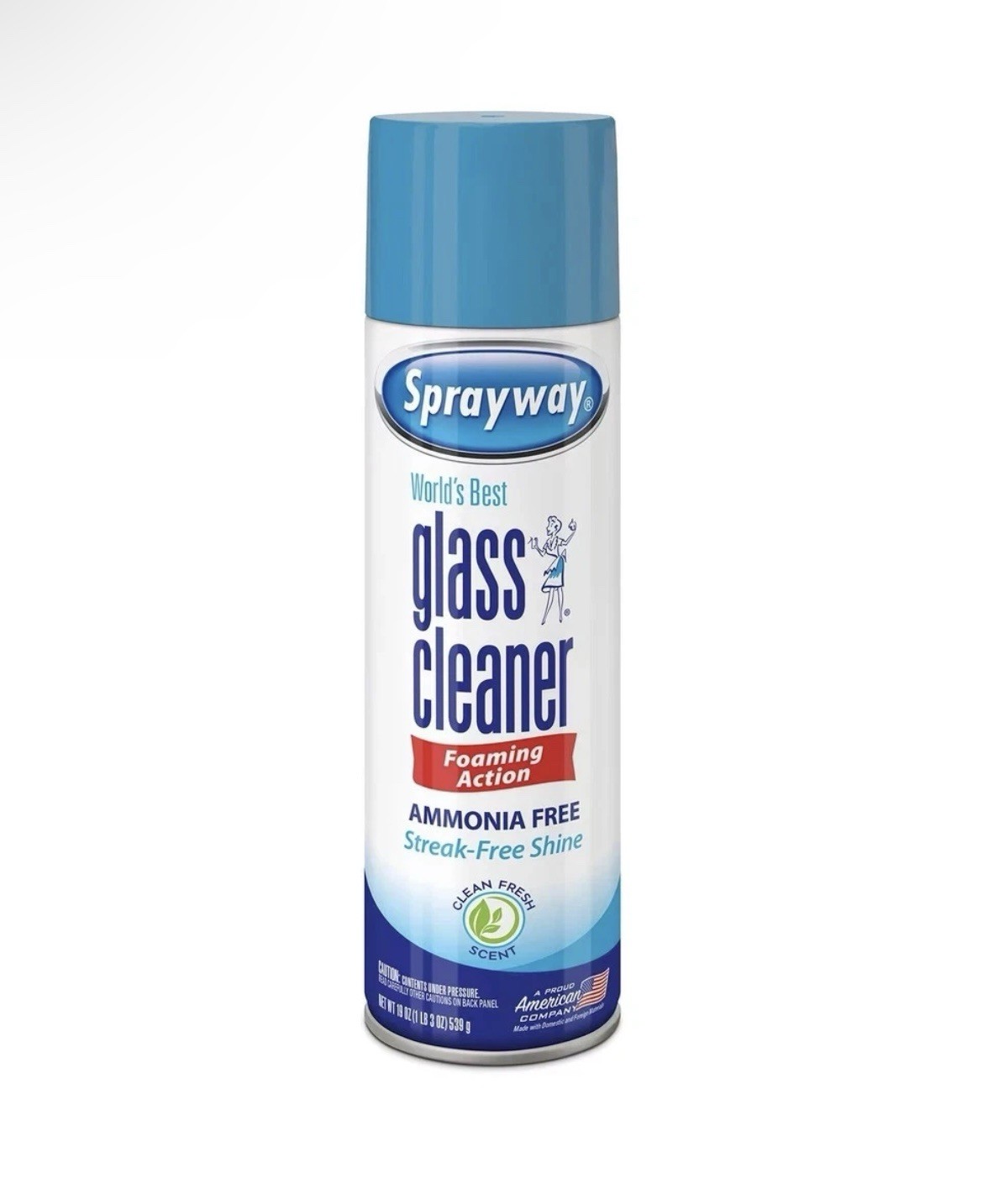 SHIPS FREE SAME DAY- Sprayway, Glass Cleaner, 19 Oz Cans, Pack of 4