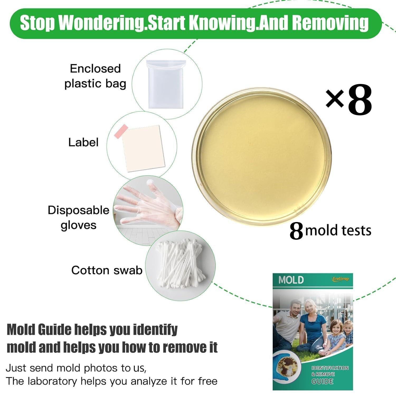 Mold Test Kit for Home Within 8 Individual Tests,DIY Detector at Home,Surface Mo