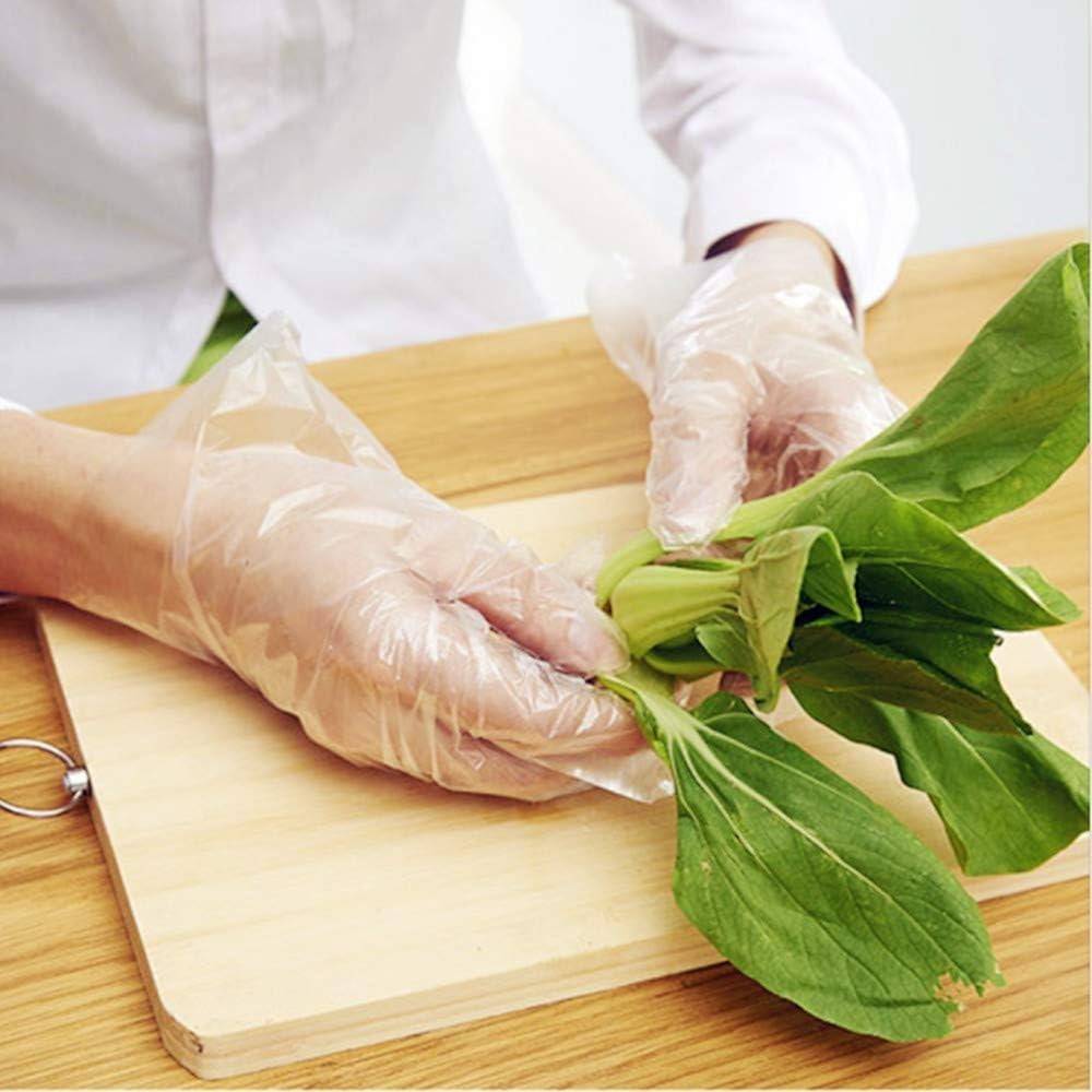 Brandon-super Disposable Food Prep Gloves One Size (Pack of 500), Transparent