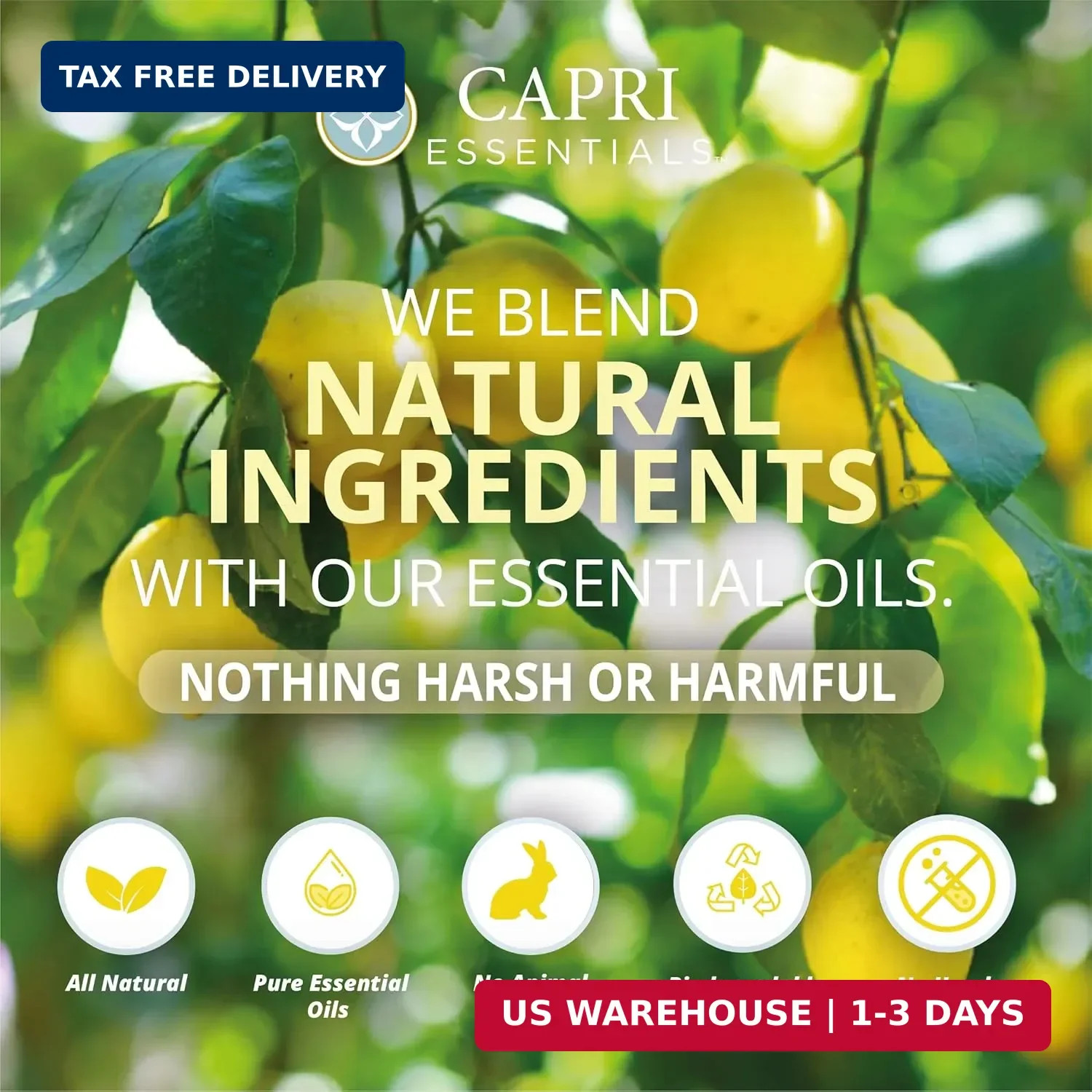 CAPRI ESSENTIALS Dish Soap Liquid, Natural Household Cleaning Supplies, Plant Ba
