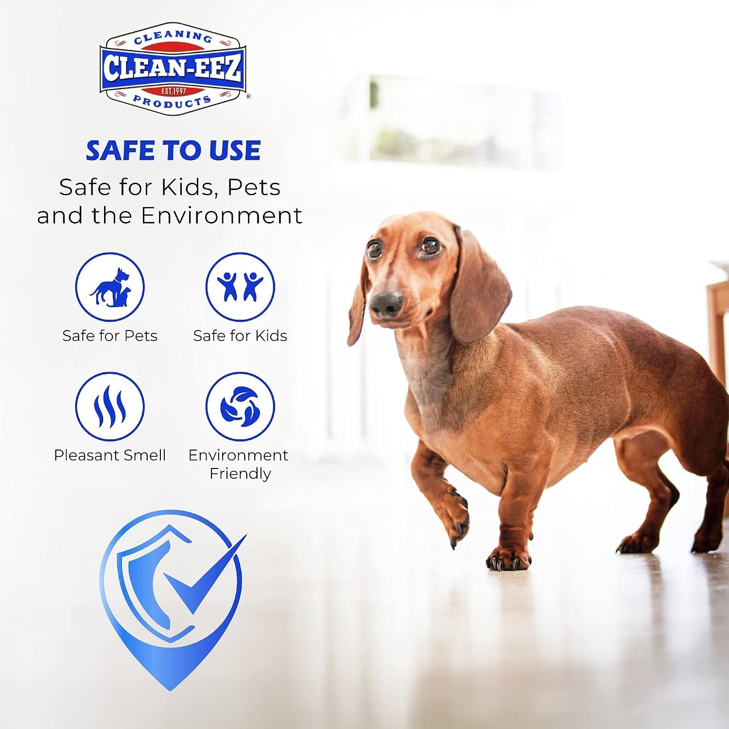 High Gloss Floor Shine & Protectant – Restore-eez Formula