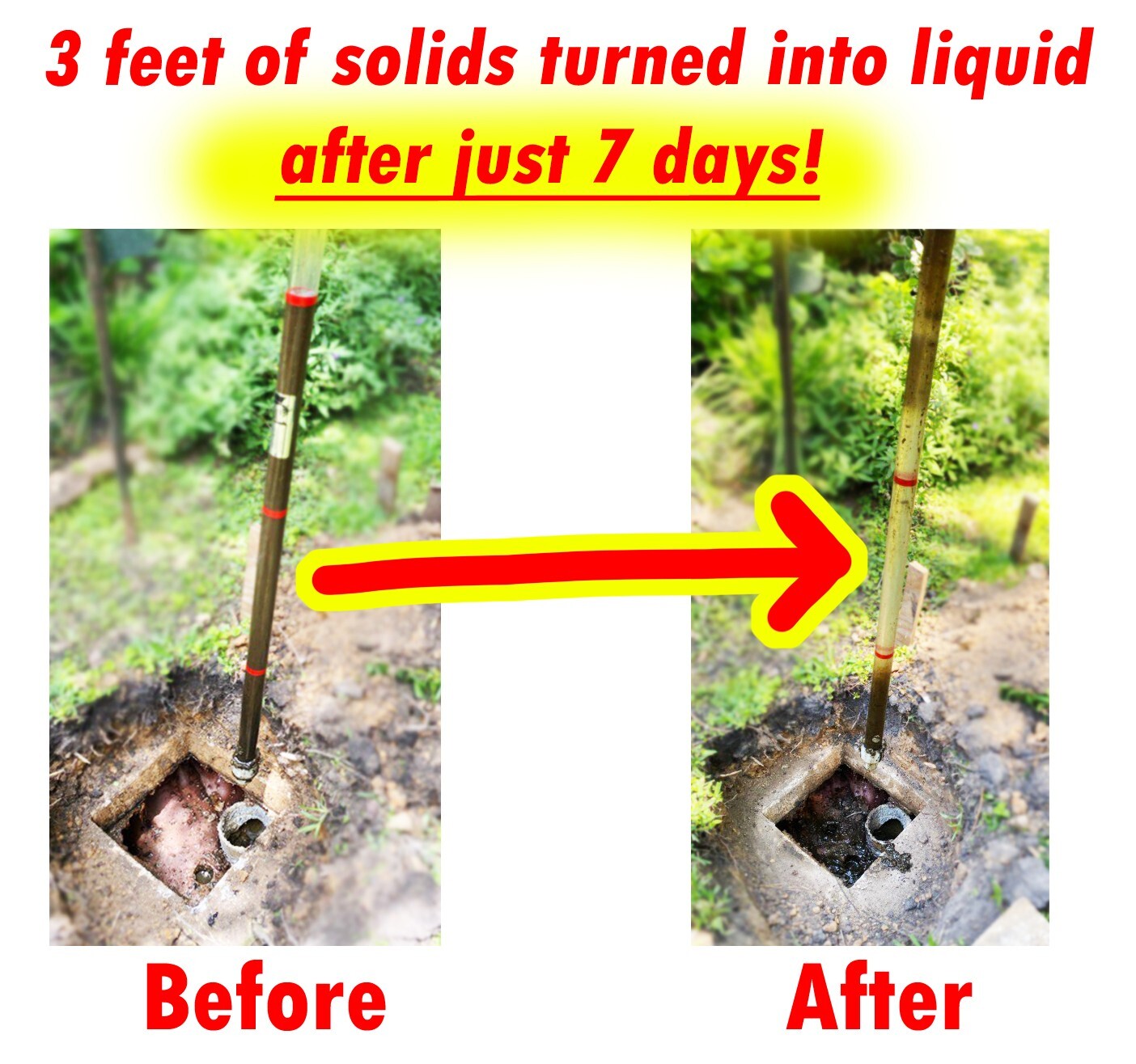 Dr. Pooper Accelerator Septic Tank Treatment – Environment-Friendly Septic Sy…