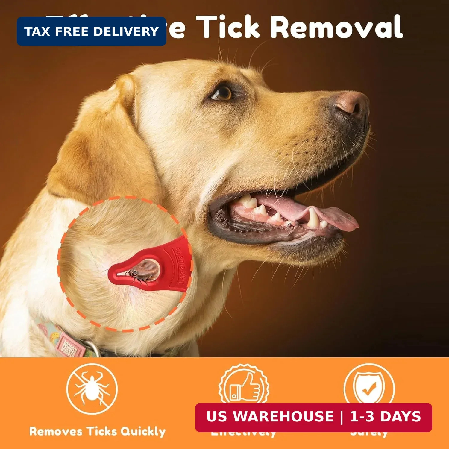 3 Pack Tick Remover Tool for Dogs Pets Humans Safe Outdoor Tick Key Essentials