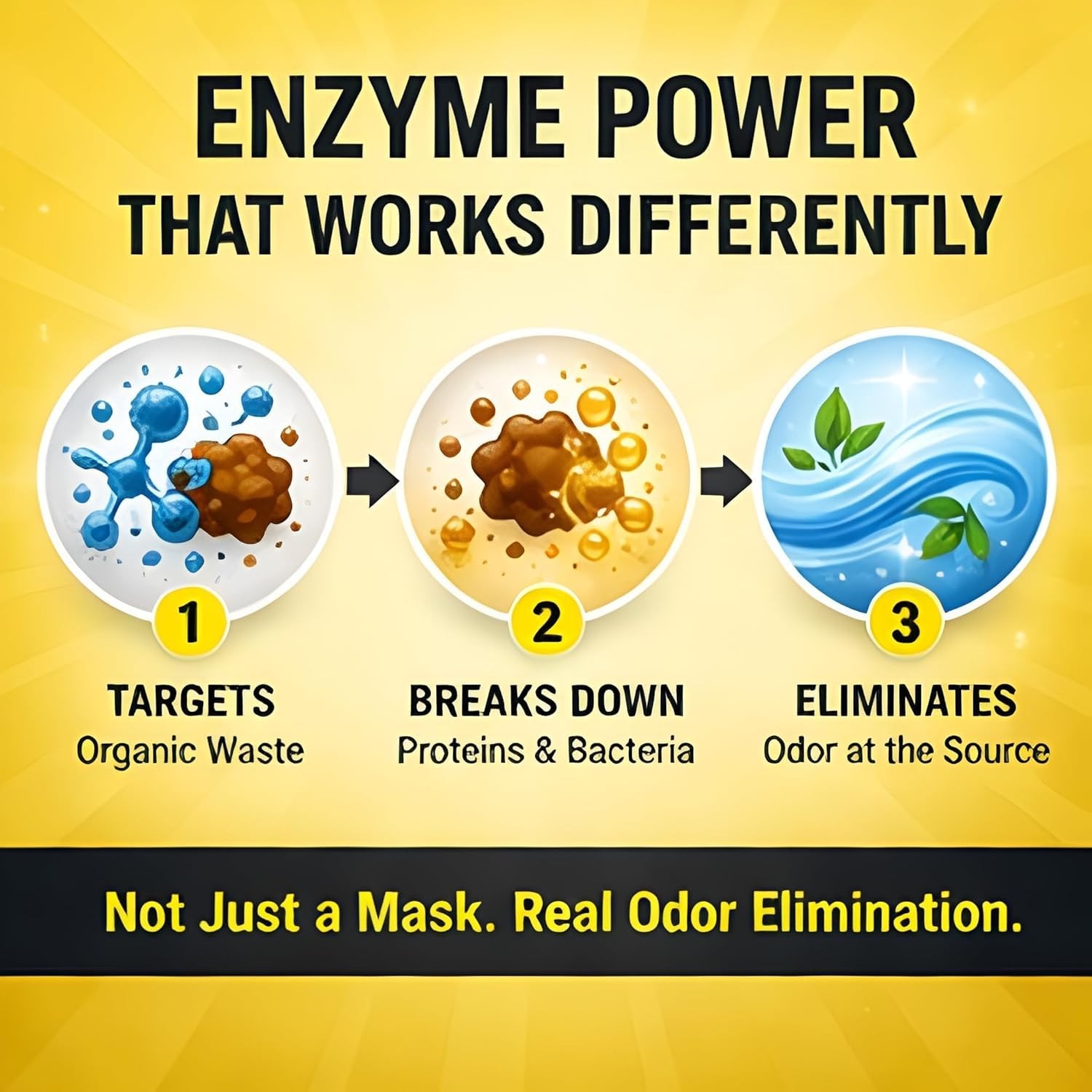 Enzymatic Cleaner Multi-Purpose Enzyme Cleaner for Dog Urine and Poop Carpet …