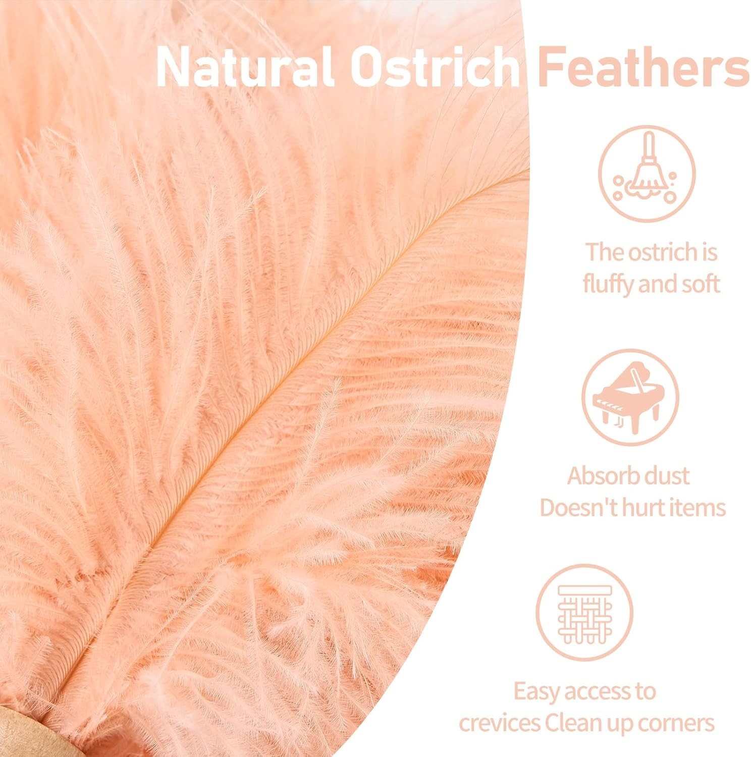 Natural Ostrich Feather Duster 12 Inch – Gentle Cleaning for Delicate Surfaces
