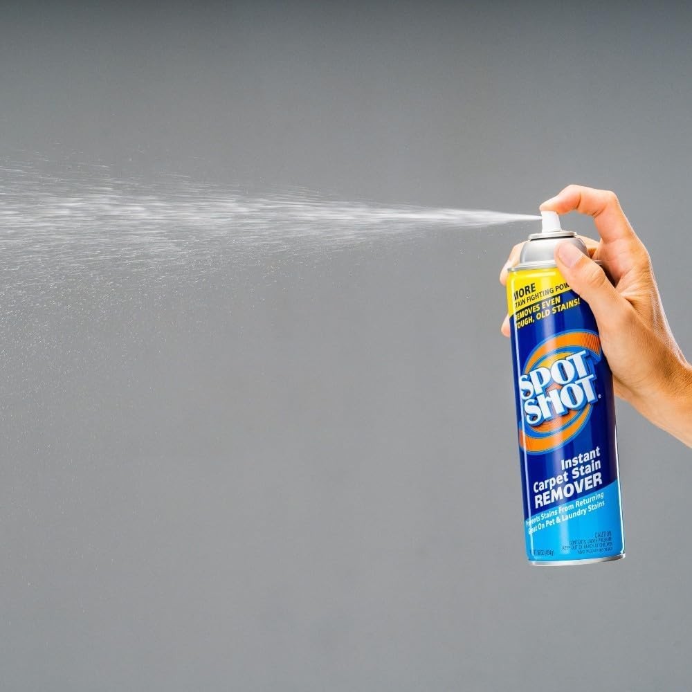 Instant Carpet Stain Remover, 16 oz (1)