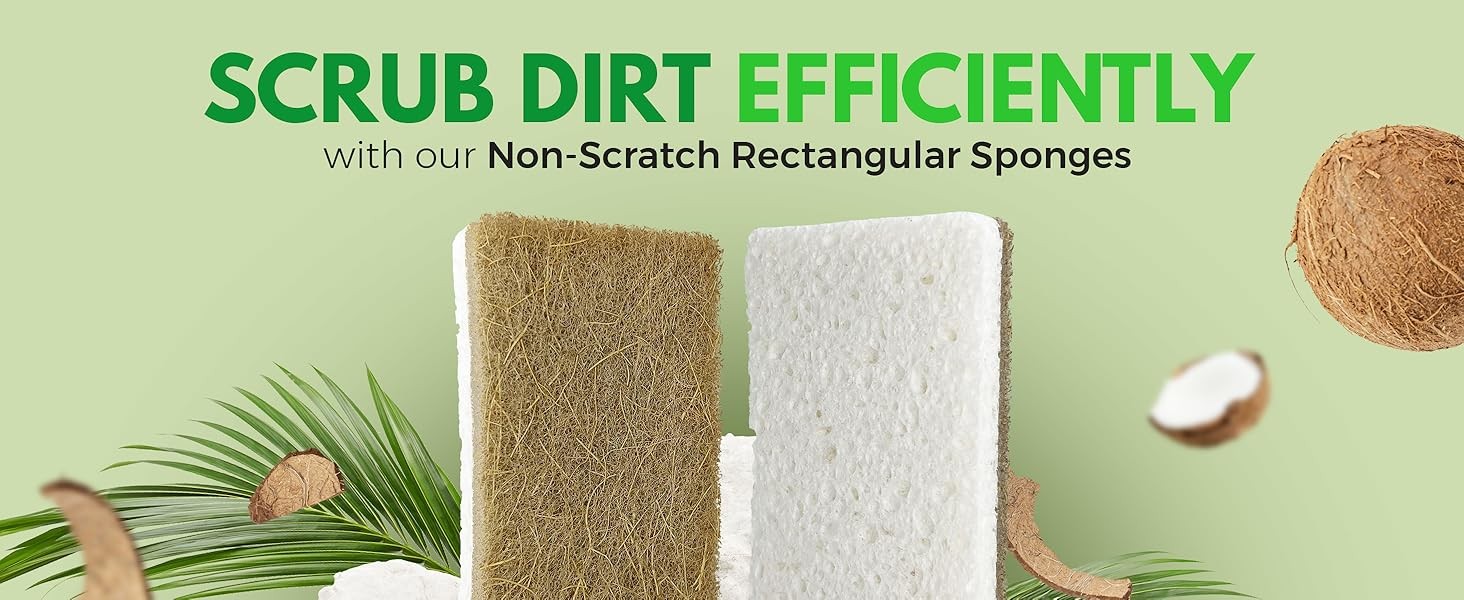 10 Pack Biodegradable Natural Kitchen Sponge – Compostable Cellulose and Coconut