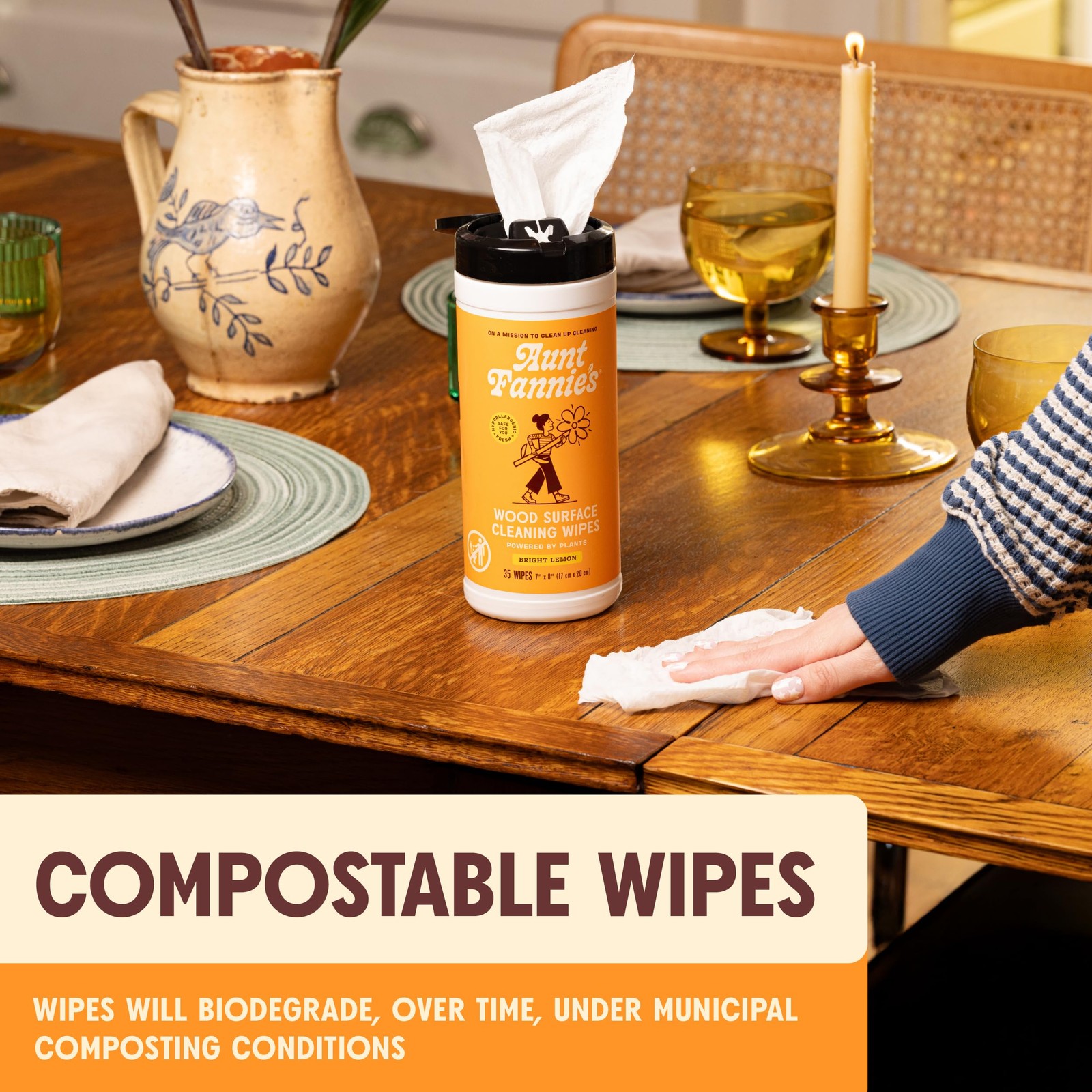 Aunt Fannie’s Wood Surface Cleaning Wipes, Multipurpose 1 Count (Pack of 1)