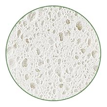 10 Pack Biodegradable Natural Sponges Kitchen – Compostable Cellulose and