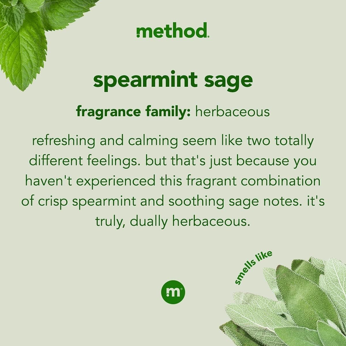 Cruelty-Free Spearmint Sage Cleaner for Hardwood & Tile Floors, 25oz, 6 Bottles