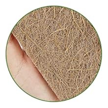 10 Pack Biodegradable Natural Sponges Kitchen – Compostable Cellulose and