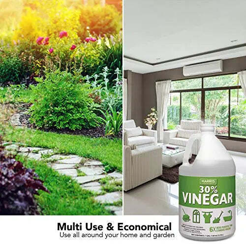 Harris 30% Vinegar 128 Fl. Oz. Gallon