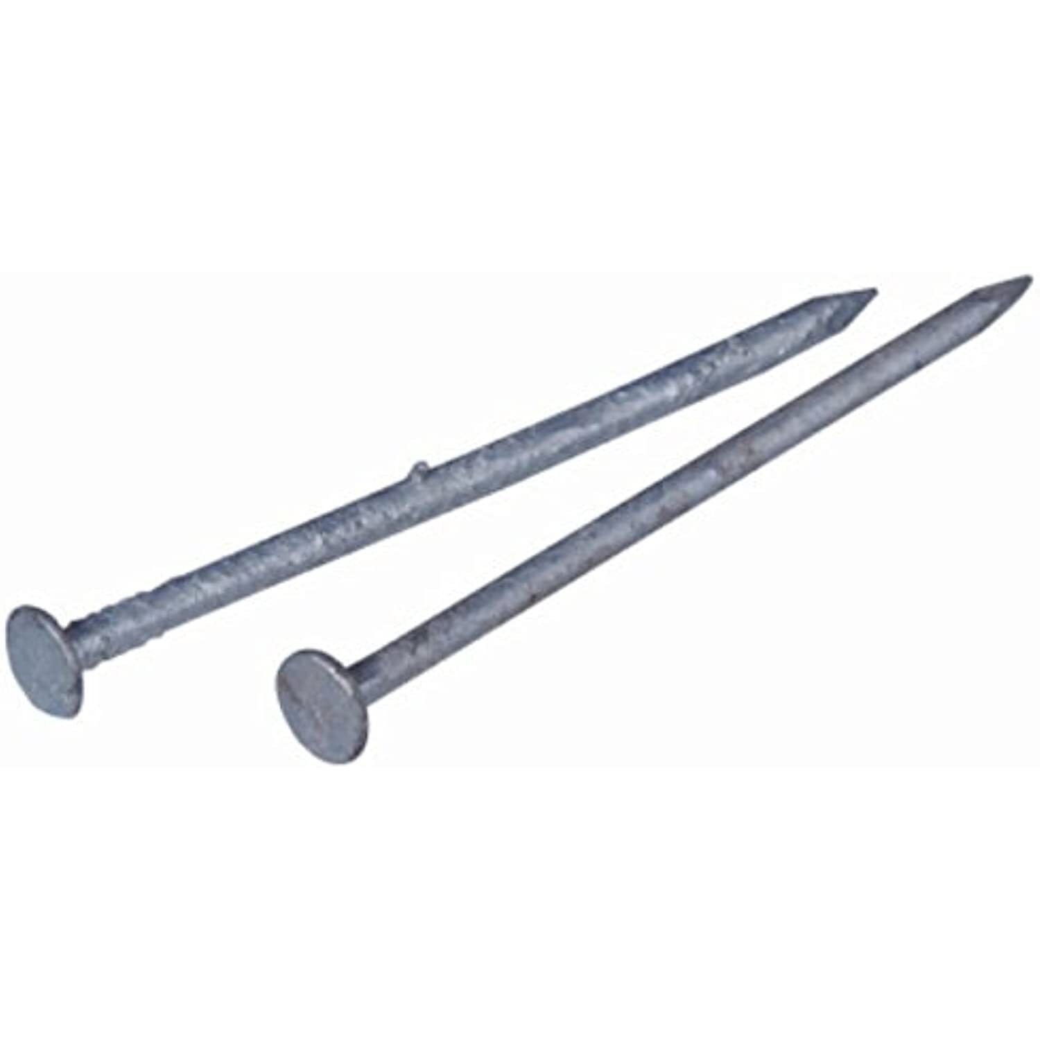 HILLMAN FASTENERS 461281 2.5″ 8D Galvanized Com Nail