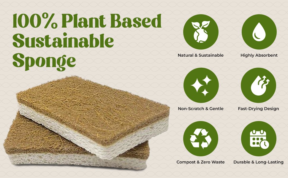 12 Pack Natural Kitchen Sponges – Biodegradable, Compostable, Sustainable Wood