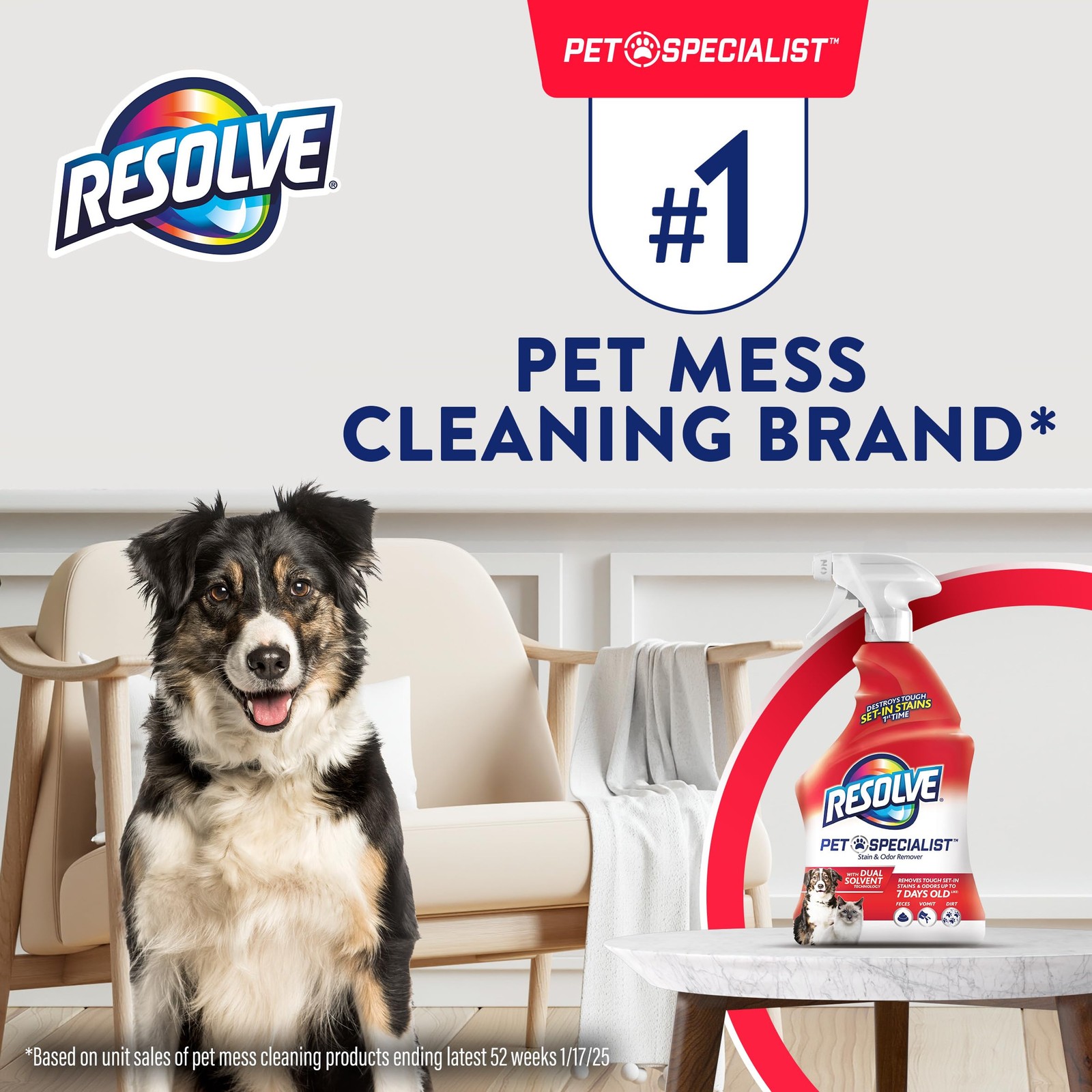 Pet Specialist Stain & Odor Remover Spray – Pet Stain and Odor Remover, Carpe…